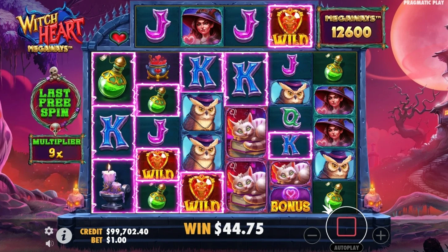 Bonus game: free spins and multipliers