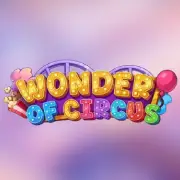 Wonder of Circus