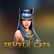 Temple Cats