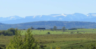 Tsuut’ina