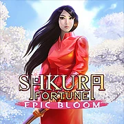 Sakura Fortune Epic Bloom
