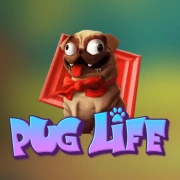Pug life