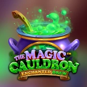 The Magic Cauldron - Enchanted Brew