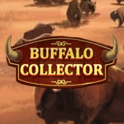 Buffalo Collector