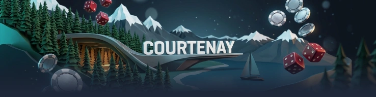Things to Do and Explore in Courtenay