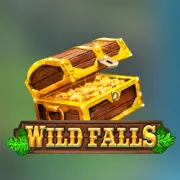 Wild Falls