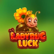 Ladybug Luck