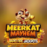 Meerkat Mayhem
