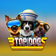 3 Top Dogs