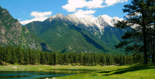 Cranbrook