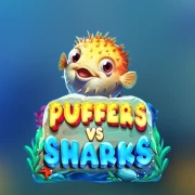 Puffers Vs Sharks