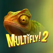 MultiFly 2