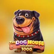 The Dog House Megaways 1000