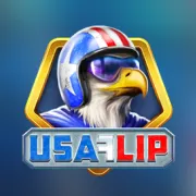 USA Flip