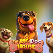 The Big Dog House