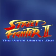 Street Fighter II: The World Warrior