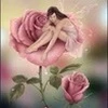 Sirin