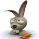 Lexif
