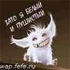 Endfacu