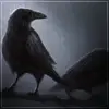 MothOtter