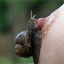 GhoffyGhoffy