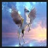 Nereo123