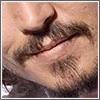 danfx