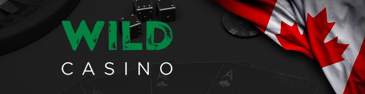 wild casino gambling app