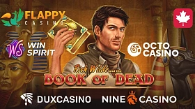 How to Play Book of Dead and Not Lose All Your Money: The Best Casinos to Play with Maximum RTP!
