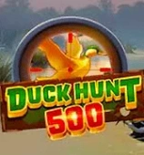 Duck Hunt 500