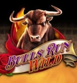 Bulls Run Wild
