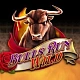 Bulls Run Wild