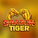 Dragon Tiger