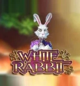 White Rabbit Megaways