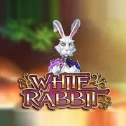 White Rabbit Megaways