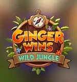 Ginger Wins