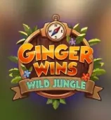 Ginger Wins