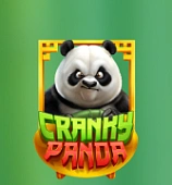 Cranky Panda