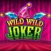 Wild Wild Joker