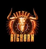 Little Bighorn