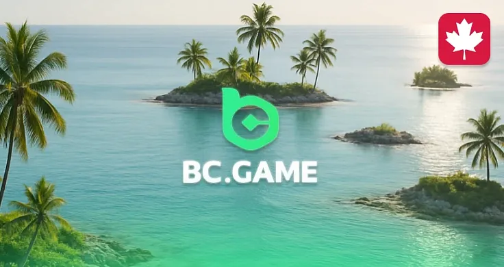 License for BC.Game in Anjouan was issued by a non-existent company