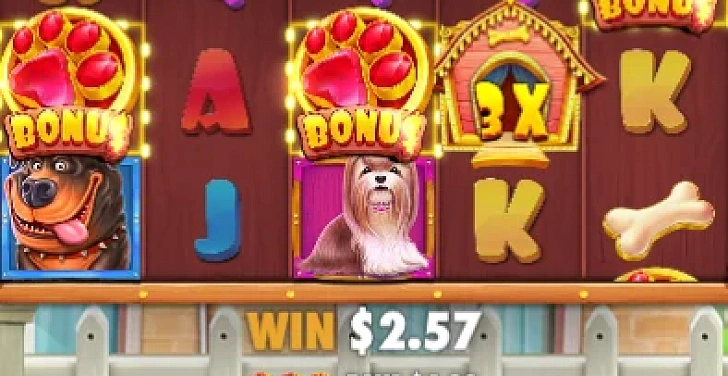 Screenshot 20Bet