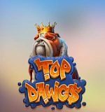 Top Dawgs