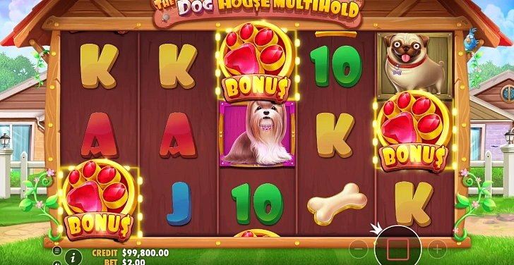 Bonus game: free spins, retriggers and bonus-round rules.