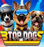 3 Top Dogs