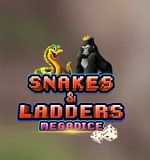 Snakes and Ladders Megadice