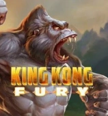 King Kong Fury