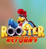 Rooster Returns