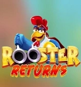 Rooster Returns