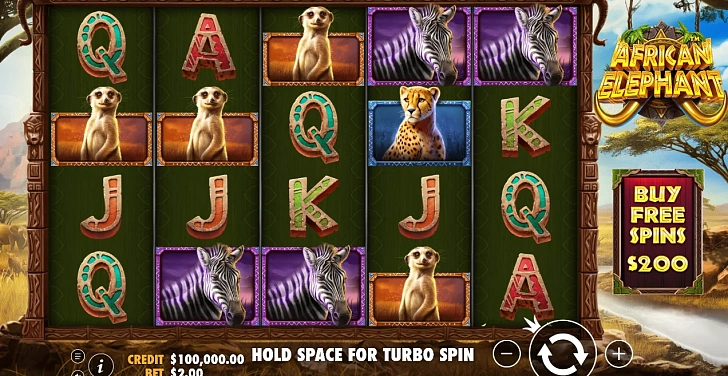 Base game: layout, bet controls and balance display.